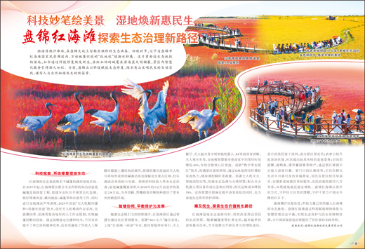 盤錦紅海灘探索生態治理新路徑