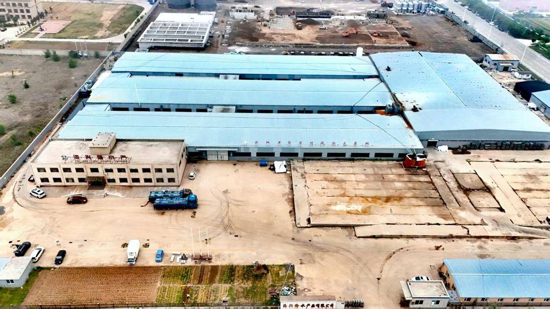 “南魚北養”！興城石斑魚成功上市
