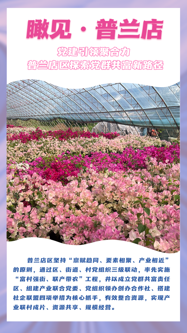 圖説·普蘭店 | 黨建引領聚合力 普蘭店區探索黨群共富新路徑_fororder_普蘭店系列2