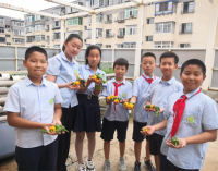 瀋陽杏壇小學高年部開展種植項目式學習