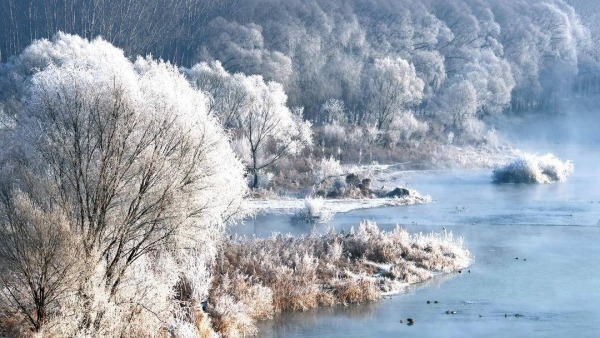 朝陽：霧臨淩河岸，樹樹凇花疊