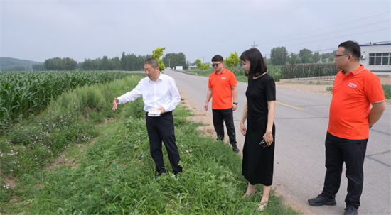 垃圾帶變身綠意長廊 阜新化石戈鎮公路沿線“美麗新生”_fororder_阜新圖1