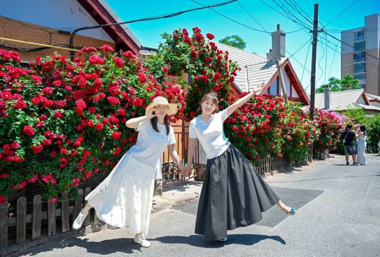 大連：老街小巷，藏不住的“花”樣浪漫