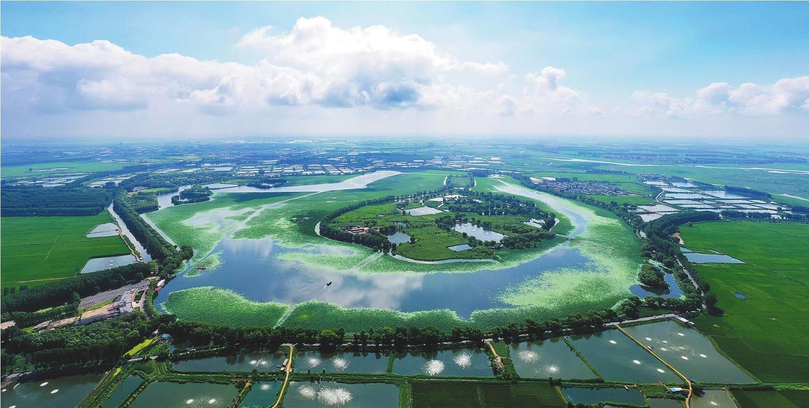 秋日韻正濃 新民寵客忙