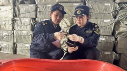 盤錦河蟹首次出口東南亞
