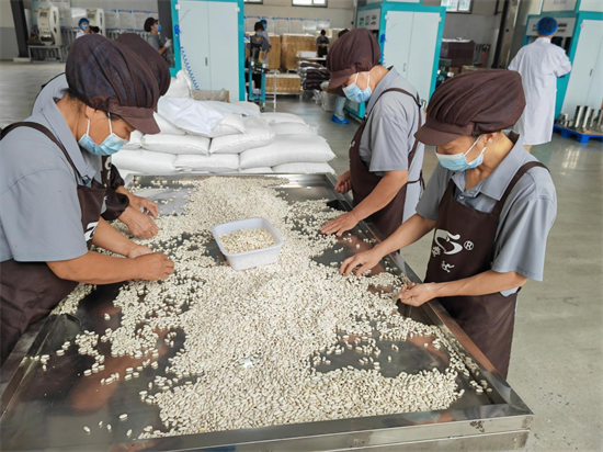 朝陽：走出有機産品帶動雜糧産業興旺的新路徑_fororder_常雜糧4