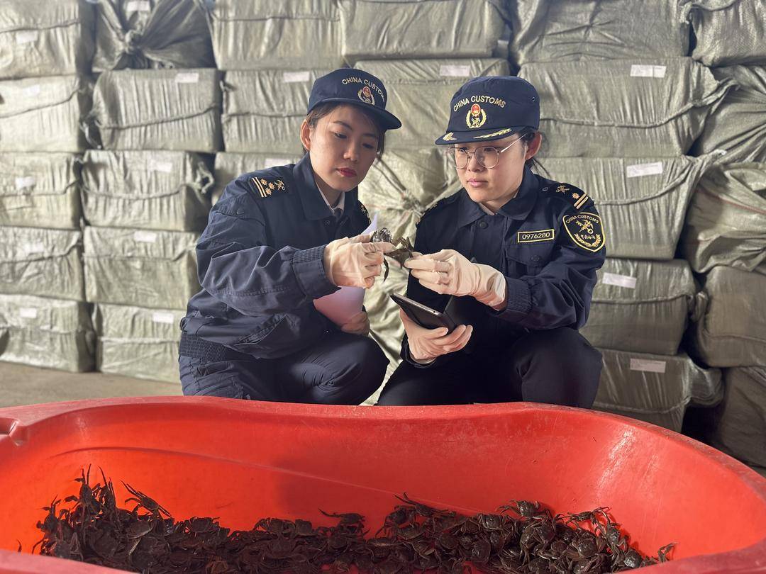盤錦河蟹首次出口東南亞