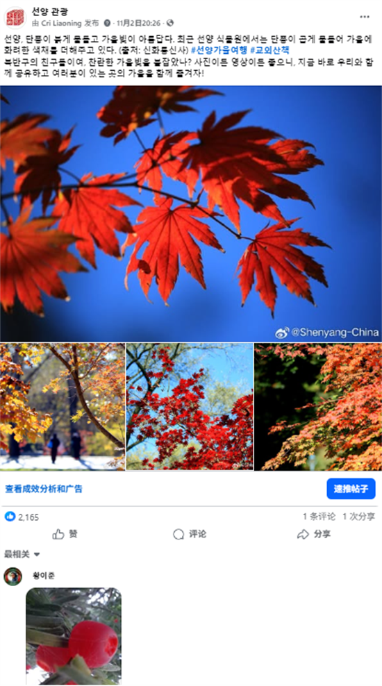 瀋陽文旅如何“圈粉”海外?美食、白瓷與秋色引爆海外社交媒體_fororder_文旅海外8