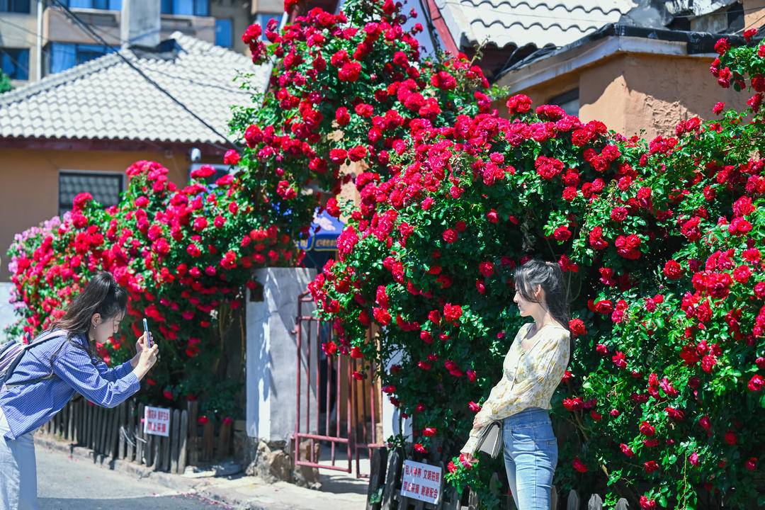 大連：老街小巷，藏不住的“花”樣浪漫