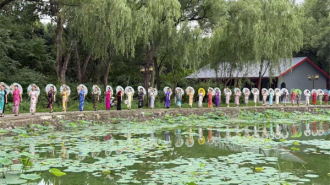 “清涼一夏，荷色生香”——北陵公園荷韻滿園待君來