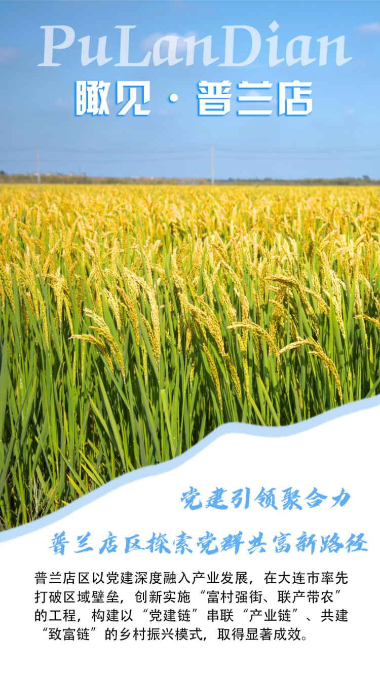 圖説·普蘭店 | 黨建引領聚合力 普蘭店區探索黨群共富新路徑_fororder_普蘭店系列1
