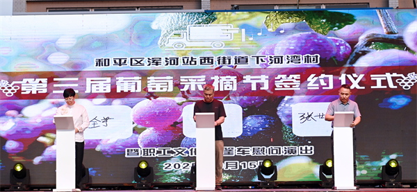 瀋陽市和平區渾河站西街道下河灣村第三屆葡萄採摘節舉行_fororder_下河灣葡萄2