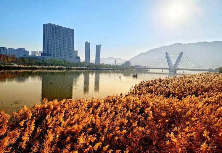 朝陽,一城秋色動人心!