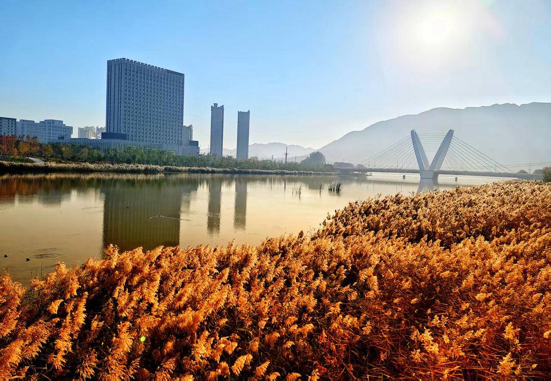 朝陽，一城秋色動人心！