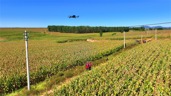 國網阜新供電公司:鄉村産業多元化 供電服務更優化_fororder_阜新供電1