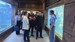 瀋陽市人大文旅專業代表小組赴沈北新區視察文體旅融合發展工作