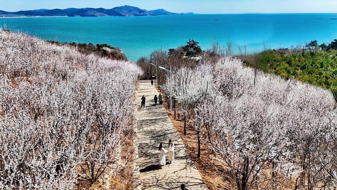 葫蘆島：面朝大海，春暖花開