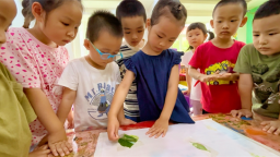 瀋陽市鐵西區實驗幼兒園開展植物拓染之旅課程