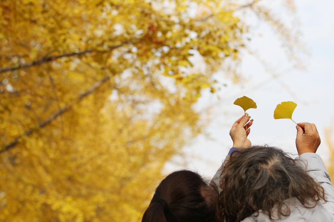 秋日限定款，漫天飛舞的金色浪漫