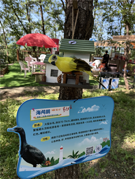（待核實）首屆黃渤海分界線候鳥微觀賽暨生態體驗季在大連旅順啟動_fororder_李靜鳥2