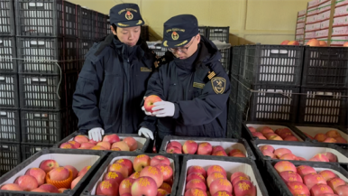 遼寧蘋果海外送“福”