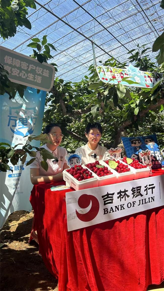 吉林銀行大連分行創新“直播+”模式 助力果農拓寬櫻桃銷路_fororder_圖片1