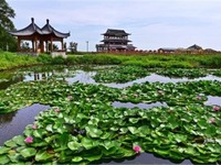 盤錦鼎翔旅遊風景區迎來最美時節 第二屆蘆花節暨2020攝影大賽啟動