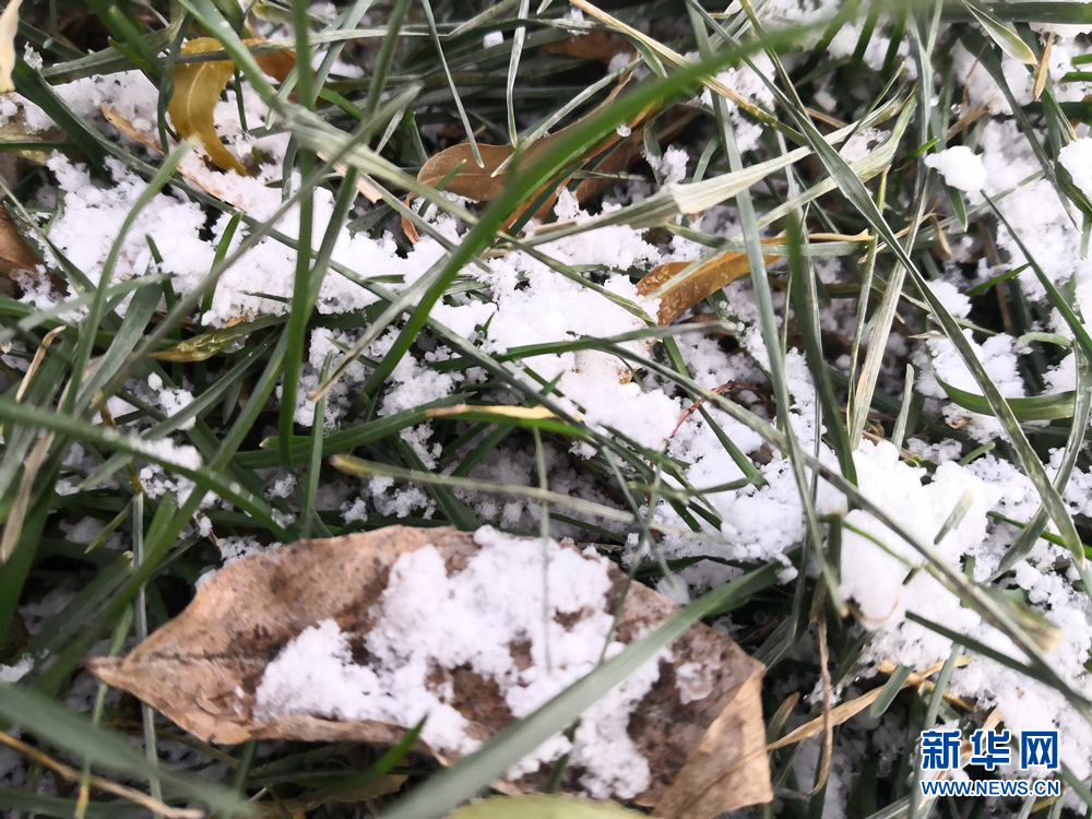 瀋陽初雪