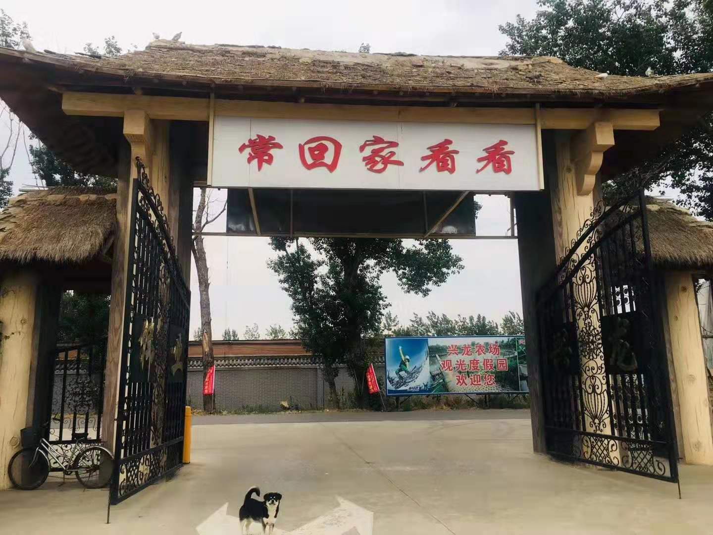 來瀋陽鐵西 共赴春日踏青之約