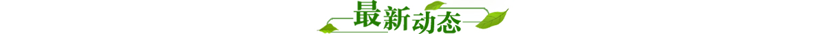 最新動態banner_fororder_最新動態1200x50