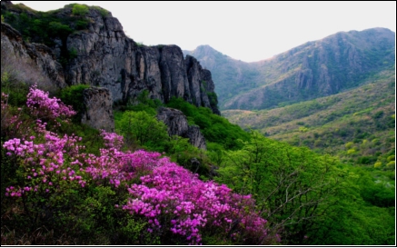 Experience the legend of the Millennium by taking a cliff tour and Chahai in Fuxin