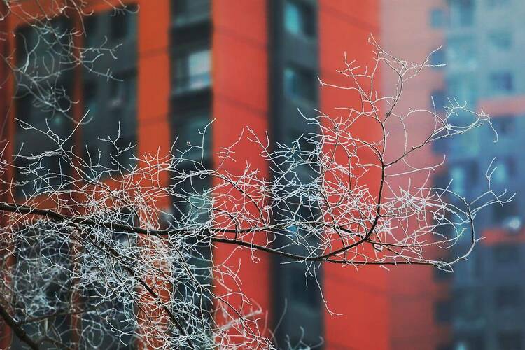 當“雨水”邂逅風雪！瀋陽，美得讓人猝不及防