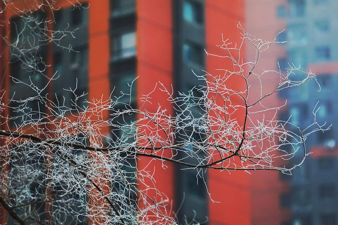 當“雨水”邂逅風雪！瀋陽，美得讓人猝不及防