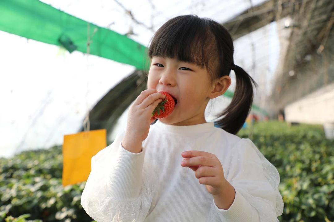 營口市老邊區：生態農業鋪就農民致富路