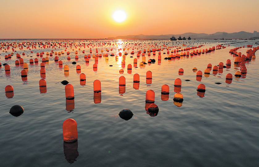 海上“燈會”_fororder_截圖20230207084020