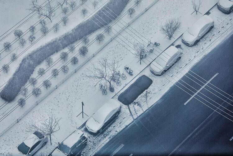 當“雨水”邂逅風雪！瀋陽，美得讓人猝不及防
