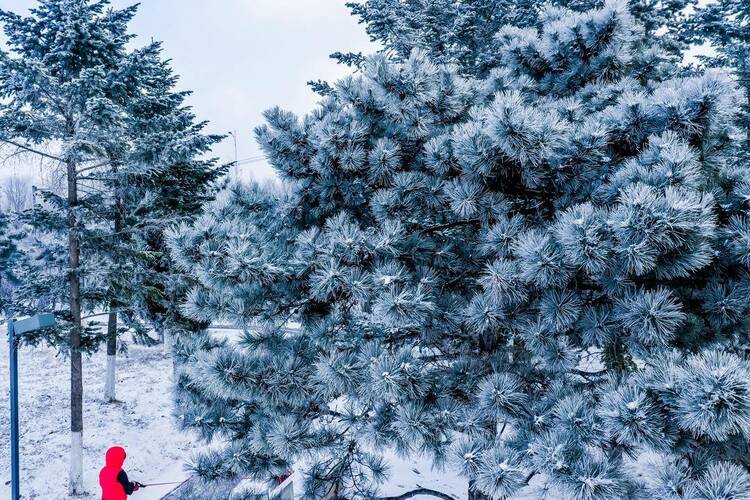 當“雨水”邂逅風雪！瀋陽，美得讓人猝不及防