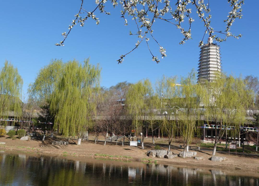 春色滿園關不住