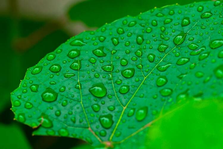 瀋陽：出伏首場雨，陣陣送秋涼