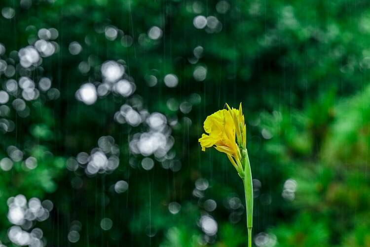 瀋陽：出伏首場雨，陣陣送秋涼