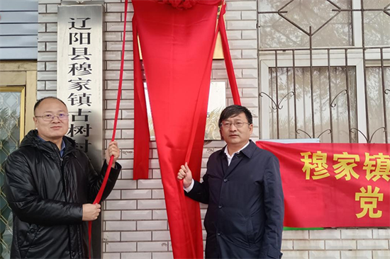 “鄉村文明100”黨建共建行動落地遼陽縣穆家鎮古樹村_fororder_遼陽財險2