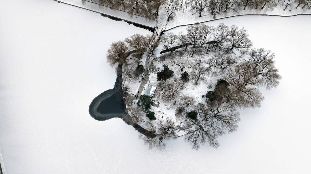 瀋陽：雪後昭陵如畫，冬泳健兒暢遊