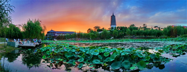 （圖）夏日享清涼，歡樂在瀋陽！六大板塊530余項文體旅活動等你來_fororder_夕映荷花 攝影 袁丁.JPG