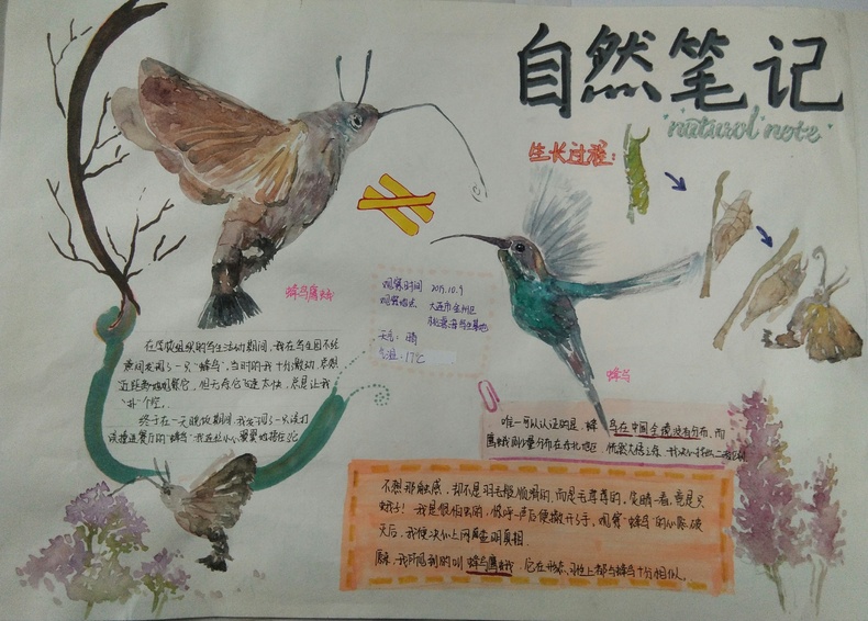 圖片默認標題_fororder_微信圖片_20191213154112