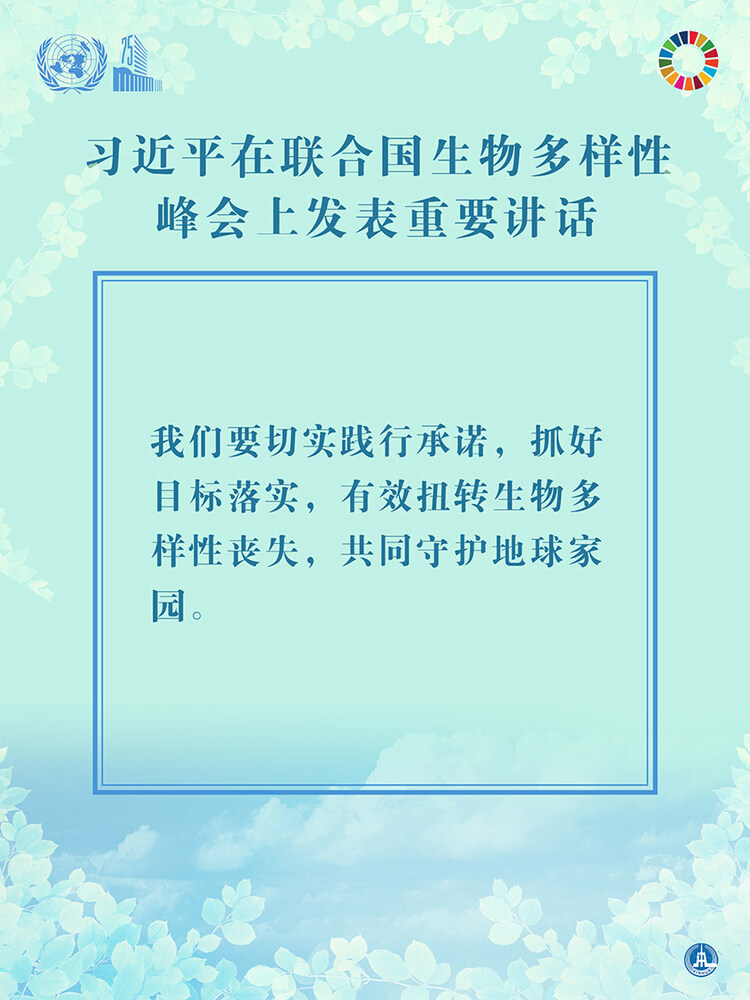 海報：習近平在聯合國生物多樣性峰會上發表重要講話