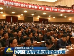 【支持民營企業在行動】遼寧：系列舉措助力民營企業發展