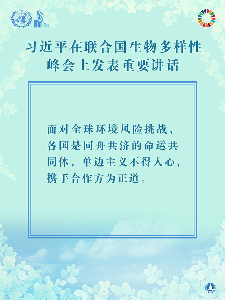 海報：習近平在聯合國生物多樣性峰會上發表重要講話