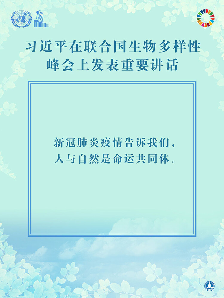 海報：習近平在聯合國生物多樣性峰會上發表重要講話