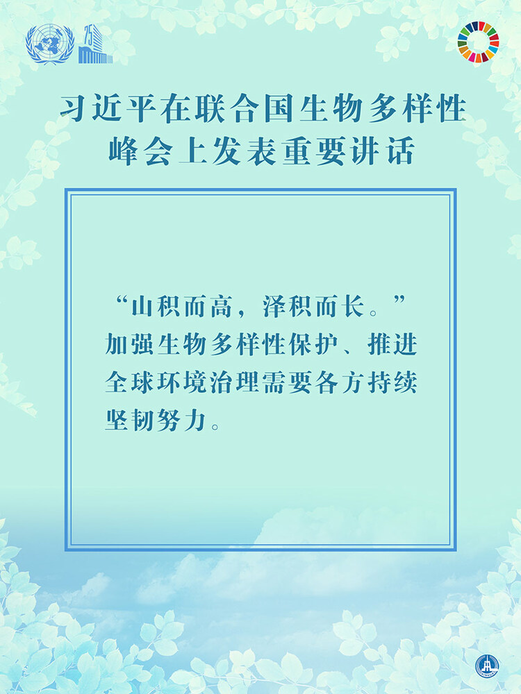 海報：習近平在聯合國生物多樣性峰會上發表重要講話