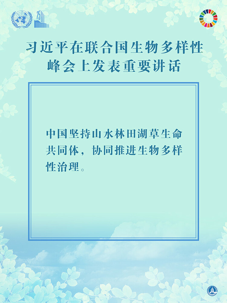 海報：習近平在聯合國生物多樣性峰會上發表重要講話